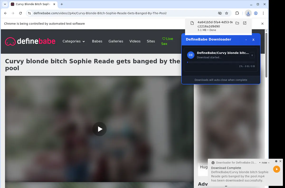 Definebabe Video Downloader browser extension screenshot 2